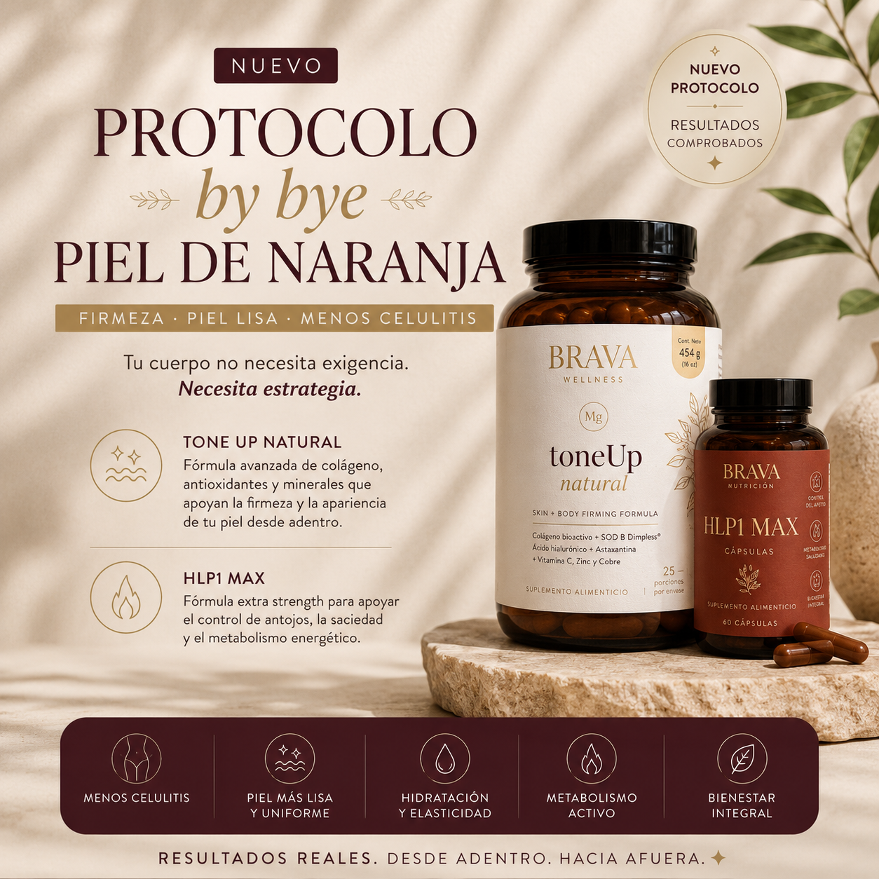 Protocolo GLP Max BRAVA