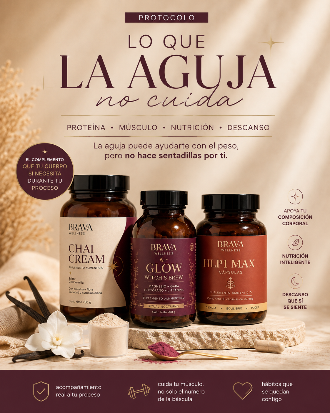 Protocolo Lo Que La Aguja No Cuida