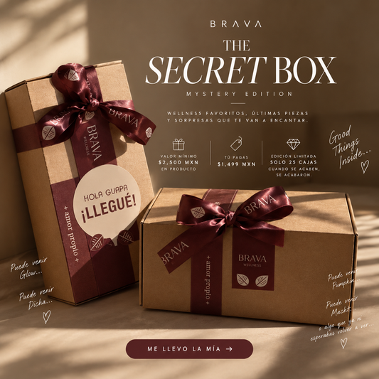 THE BRAVA SECRET BOX ✦ Mystery Edition