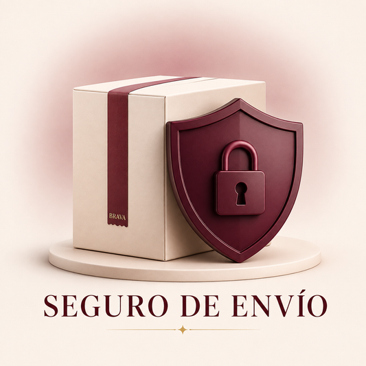 Seguro de Envío